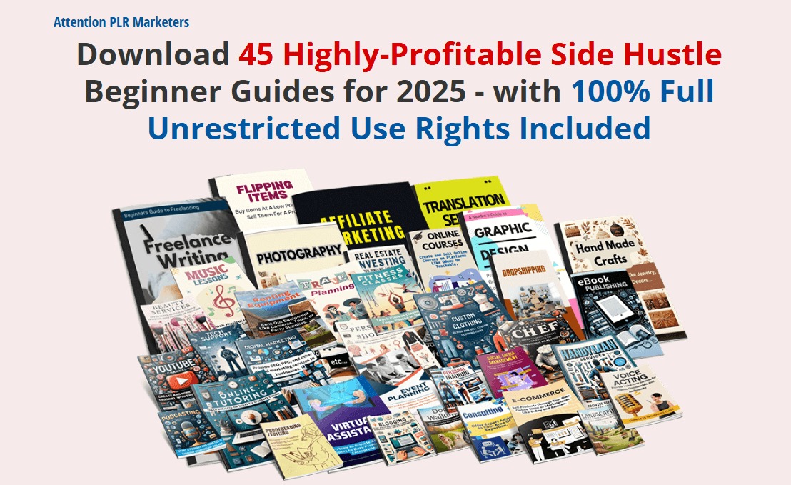 (PLR) 2025 Side Hustle Beginner Guides